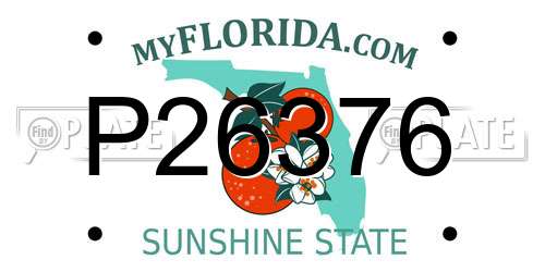 P26376 Florida License Plate