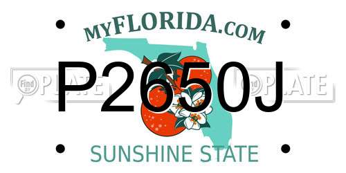 P2650J Florida License Plate