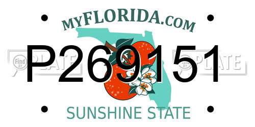 P269151 Florida License Plate