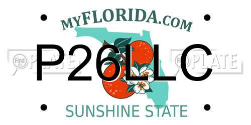 P26LLC Florida License Plate