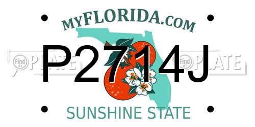 P2714J Florida License Plate
