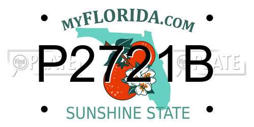 P2721B Florida License Plate