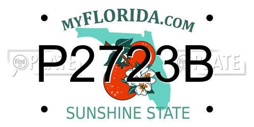P2723B Florida License Plate