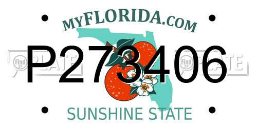 P273406 Florida License Plate
