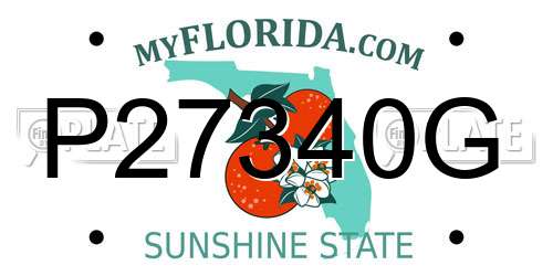 P27340G Florida License Plate