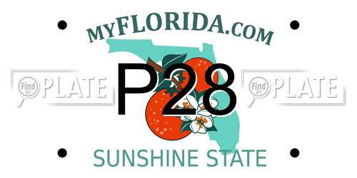 P28 Florida License Plate