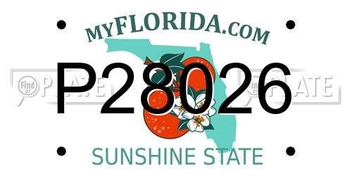 P28026 Florida License Plate
