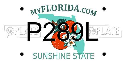 P289L Florida License Plate