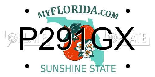 P291GX Florida License Plate