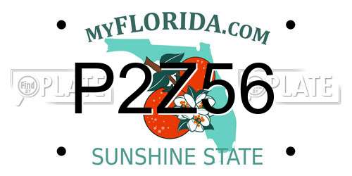 P2Z56 Florida License Plate