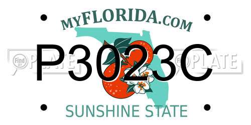 P3023C Florida License Plate