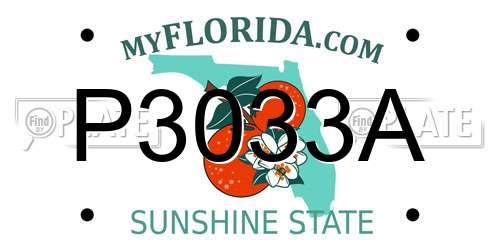 P3033A Florida License Plate