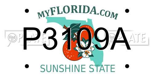 P3109A Florida License Plate