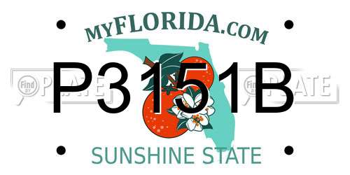 P3151B Florida License Plate