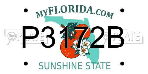 P3172B Florida License Plate