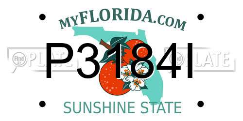 P3184I Florida License Plate