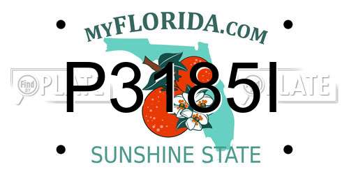 P3185I Florida License Plate