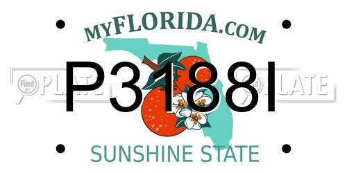 P3188I Florida License Plate