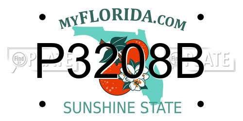 P3208B Florida License Plate