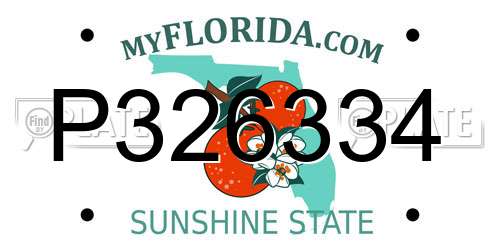 P326334 Florida License Plate