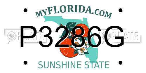 P3286G Florida License Plate