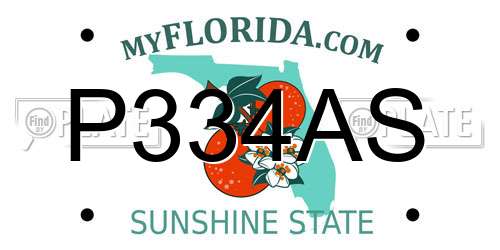 P334AS Florida License Plate