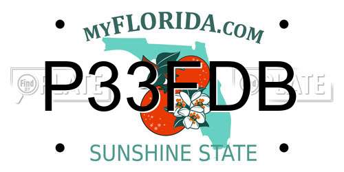 P33FDB Florida License Plate