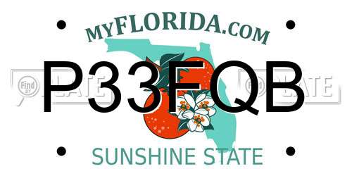 P33FQB Florida License Plate