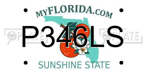 P346LS Florida License Plate