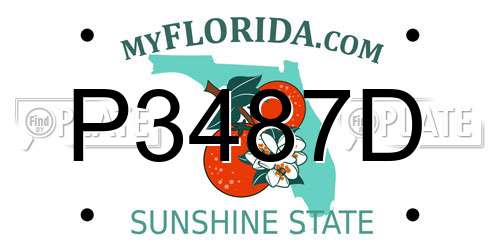 P3487D Florida License Plate