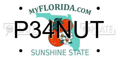 P34NUT Florida License Plate