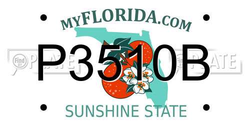 P3510B Florida License Plate