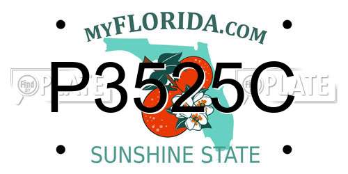 P3525C Florida License Plate