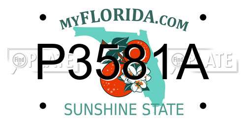 P3581A Florida License Plate