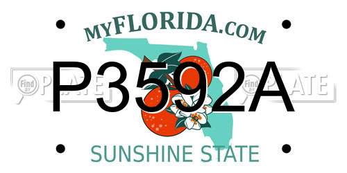 P3592A Florida License Plate