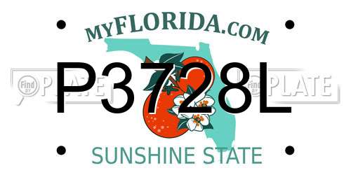 P3728L Florida License Plate