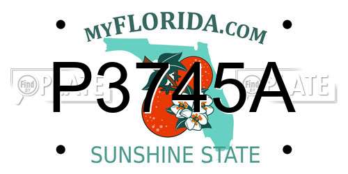 P3745A Florida License Plate