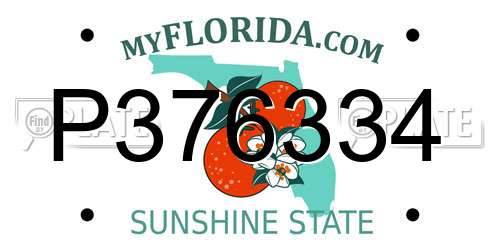 P376334 Florida License Plate