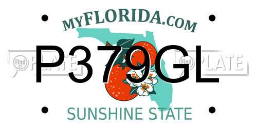 P379GL Florida License Plate