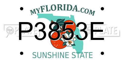 P3853E Florida License Plate
