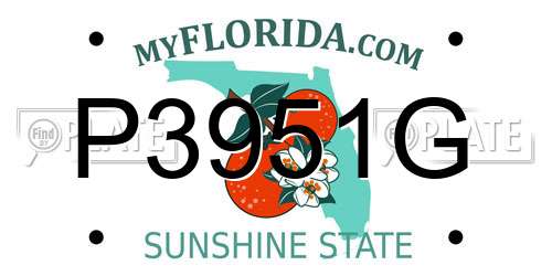 P3951G Florida License Plate