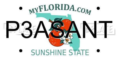 P3ASANT Florida License Plate