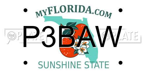 P3BAW Florida License Plate