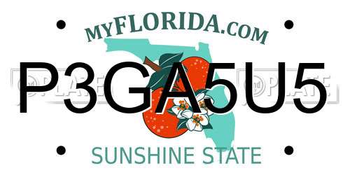 P3GA5U5 Florida License Plate