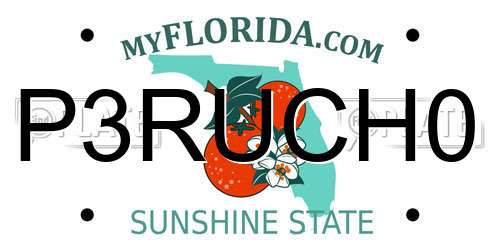 P3RUCH0 Florida License Plate