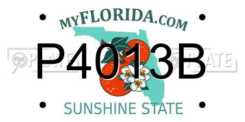 P4013B Florida License Plate