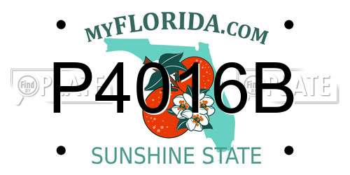 P4016B Florida License Plate