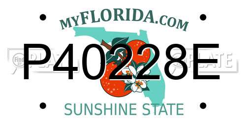 P40228E Florida License Plate
