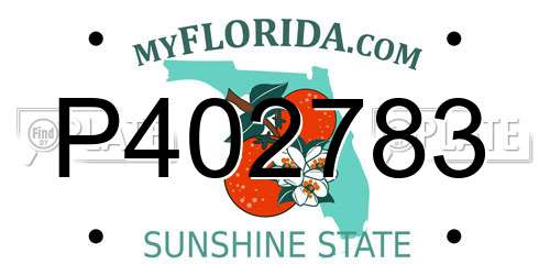 P402783 Florida License Plate