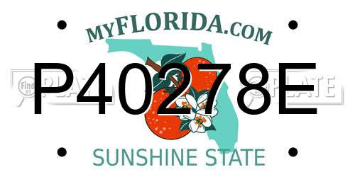 P40278E Florida License Plate